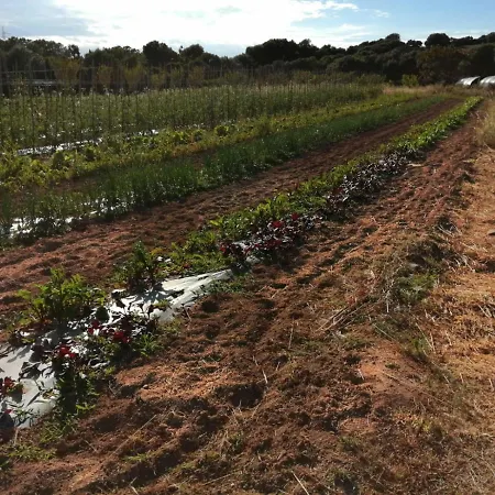 Prendas De Sole Farmház *