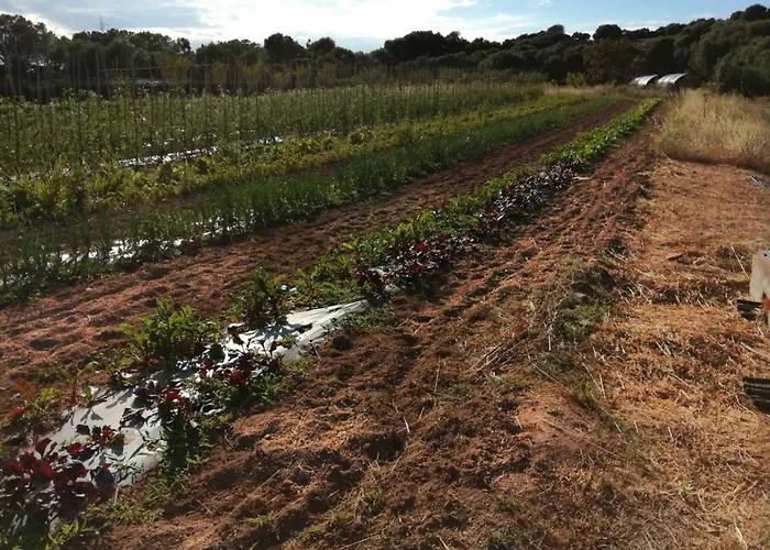 Prendas De Sole Farmház *