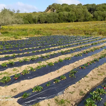 Farmház Prendas De Sole Olbia
