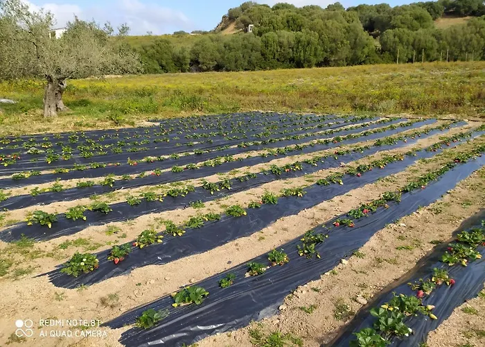 Κατάλυμα σε φάρμα Prendas De Sole Όλμπια